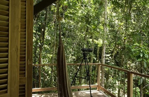 San Carlos Cabin | Montés Samaná