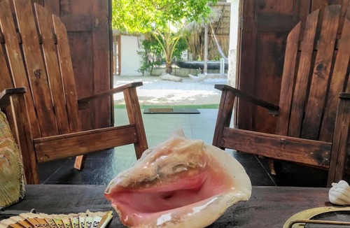 Tierra Bomba Island Bed & Breakfast | La Caracola Cartagena