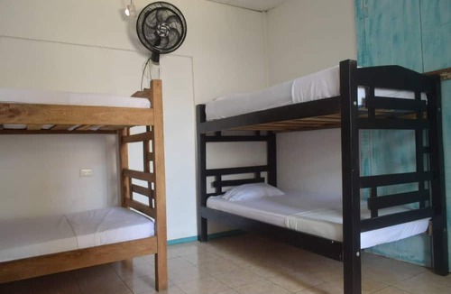 Torices Hostel | MANGO TREE HOSTEL 4 20