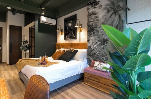 Zona Rosa Hotel | Hotel Celestino Boutique