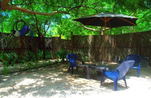 Tierra Bomba Island Hostel | MANGO TREE ISLAND 420