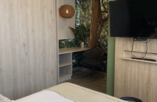 Laureles - Estadio Apartment | Evergreen 203 tropical jungle studio.