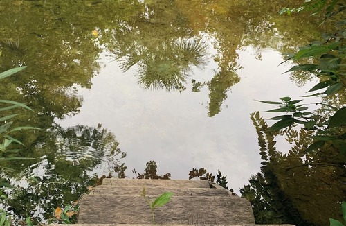 La Macarena Cabin | Cabaña El Nido: family comfort next to Caño Cristales + chef at your disposal.
