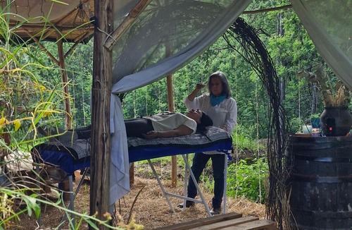 Sutatausa House | Hippie bus in the forest with mountain views - Hidden Forest