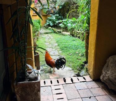La Candelaria House | iECHIE Historic Colonial Stay in La Candelaria