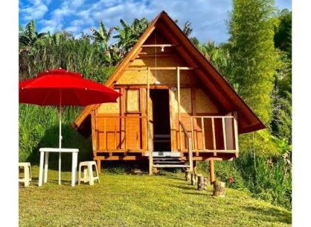 Tota House | Hotel mi lago guarida