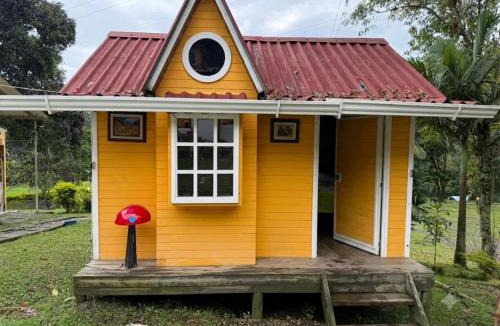 San Francisco Cabin | Cabañas Creation Garden - Espacio de Vida Saludable