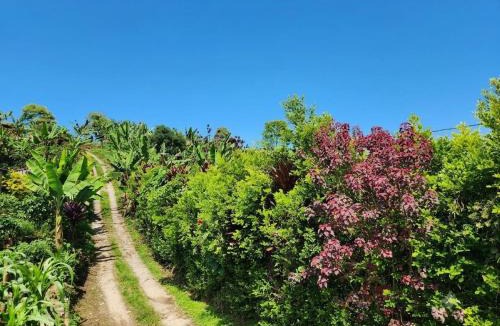 Alcala House | Casa Campestre Santuario