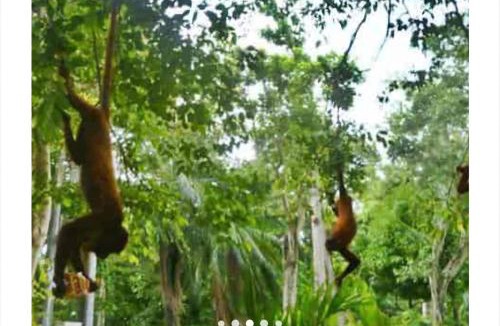 Monteria House | Hospedaje patricia