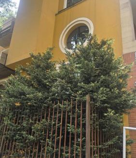 Financial District Apartment | Elegant Apt in Zona G Modern & Sophisticated 301