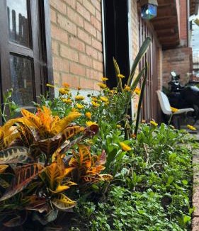Cota Bed & Breakfast | El Peregrino