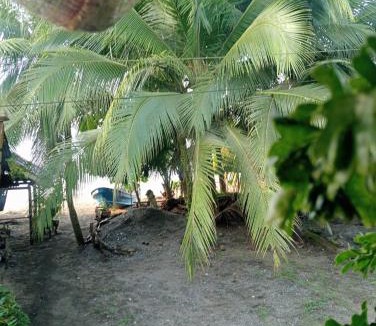 Nuqui House | Posada El Encanto Termales