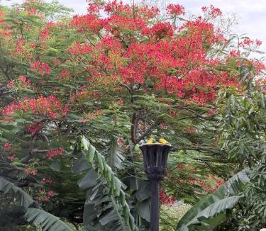 Guayabal Hotel | Wakantini Adultos SW