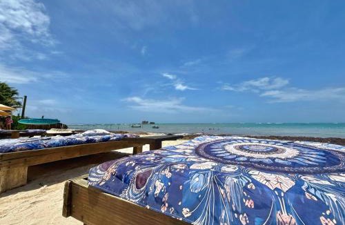 San Luis Apartment | Loft Rocky Cay