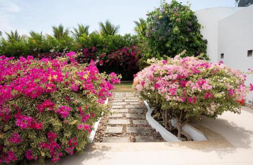 Bocachica Villa | Villa Luxury cartagena Barú