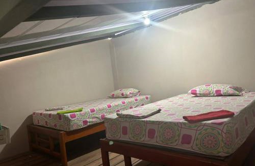 Nuqui Apartment | Camalaga