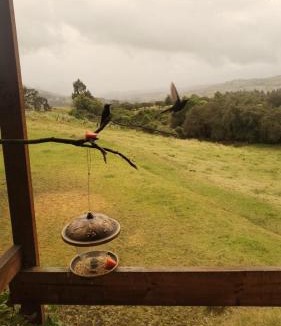 Bogota House | Cabaña Escocés