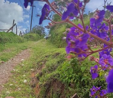 Caldas House | Finca La Menguate