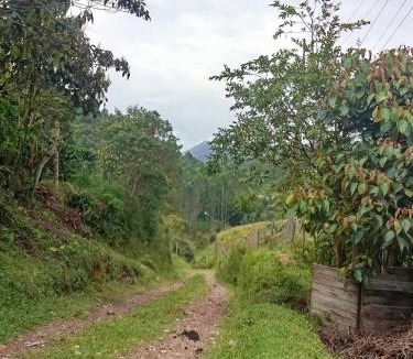 Caldas House | Finca La Menguate