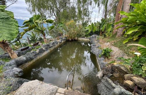 Copacabana Apartment | Medellin Bird watching Cabin reserved Forest