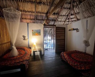 Palomino House | Hostal Zinpar