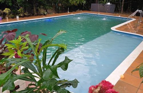 Aguazul Apartment | casa en el arbol aguazul