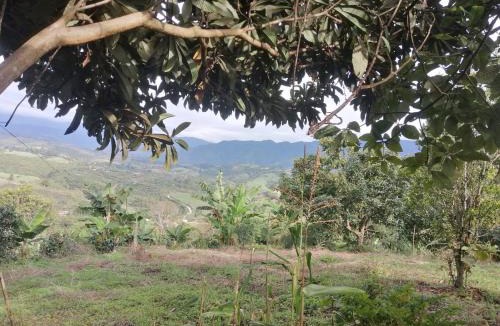 San Agustin House | Finca Adamur