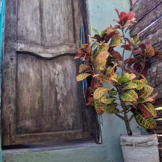 Rincon Apartment | La Mulata - Apto, Cocina, Terraza, Vista a la Cienaga