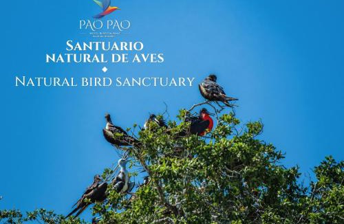 Rosario Islands Hotel | Pao Pao Cartagena