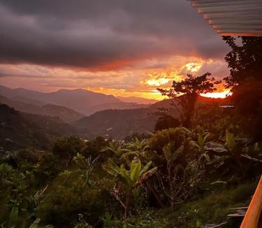 Pijao Cabin | La TOLVA Café & experiencia