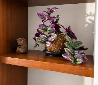 Engativa House | Hermosa Habitación doble privada