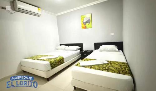 Sur Oriente House | Hospedaje El Lorito