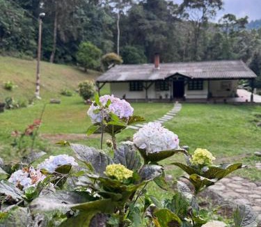 La Cumbre House | Finca Neblina del Bosque - Cerca a Dapa