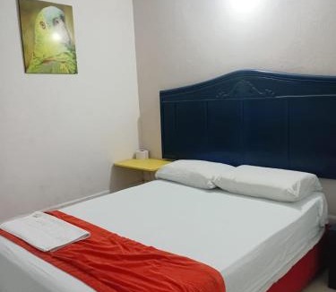 Sur Oriente House | Hospedaje El Lorito
