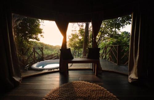 Canaveral Other | Dacnis tayrona glamping