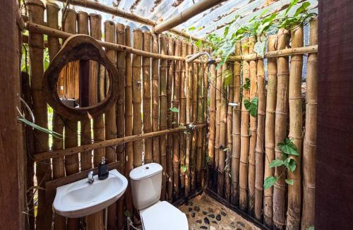 Canaveral Other | Dacnis tayrona glamping