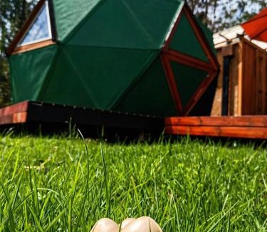Oicata House | Glamping mágico en el Bosque