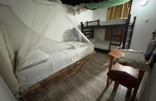 Palomino Hotel | Quinto Hotel