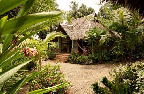 Nuqui Hotel | Hotel Pijibá Lodge