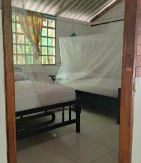 Rosario Islands Other | Coco Encantado Eco Hostal Camping