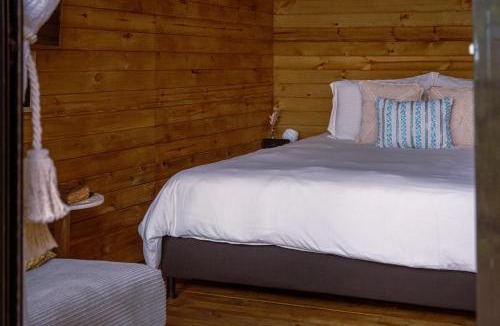 San Carlos Ski Chalet | Inspiring Stay -Forest Cabanas