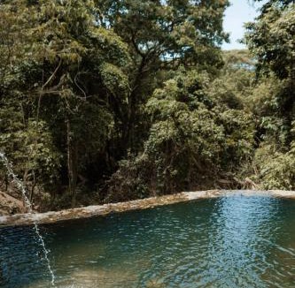Palomino House | Ahora Wellness Hostel