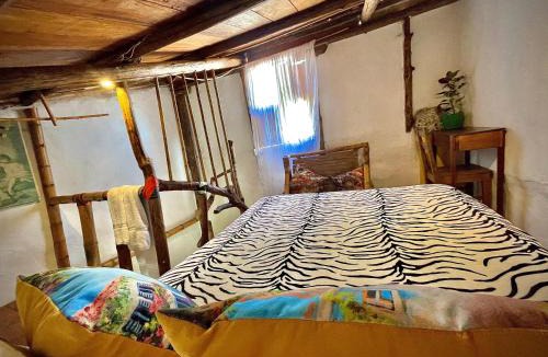 San Agustin Hotel | Hotel Casa Tarzan San Agustin