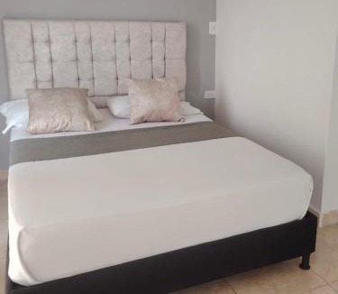 Neiva Hotel | Hotel Santander Plaza
