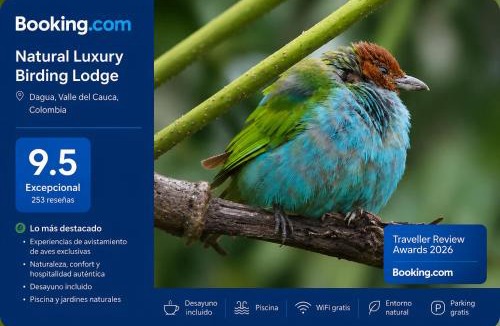 Dagua Hotel | Natural Luxury Birding Lodge - Premium Birdwatching near Cali