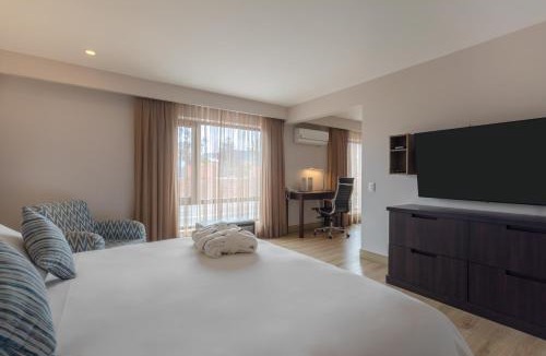 Zona Rosa Hotel | Hotel Morrison Zona T
