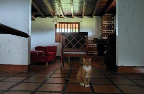Medellin Hostel | La Villa en Santa Elena Medellin Montaña y Bosque