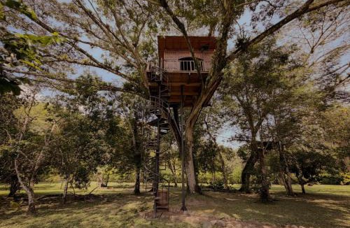 La Pena Villa | Casa del Árbol Colombia