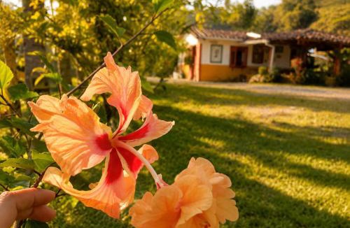 Alejandria Hotel | Ecohotel El Amarradero