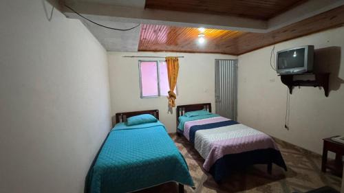Florian House | Hotel Casaloma